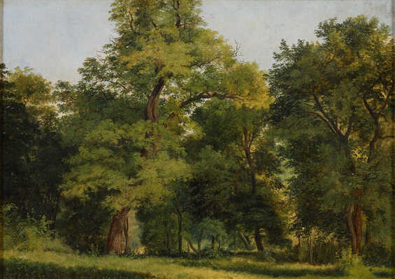 Каменев Лев Львович. Лесной пейзаж 